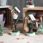 Decorative Birdhouse made of Wood | High & Bury