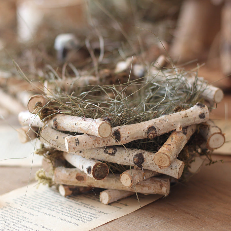 Decorative Bird's Nest Basket | High & Bury
