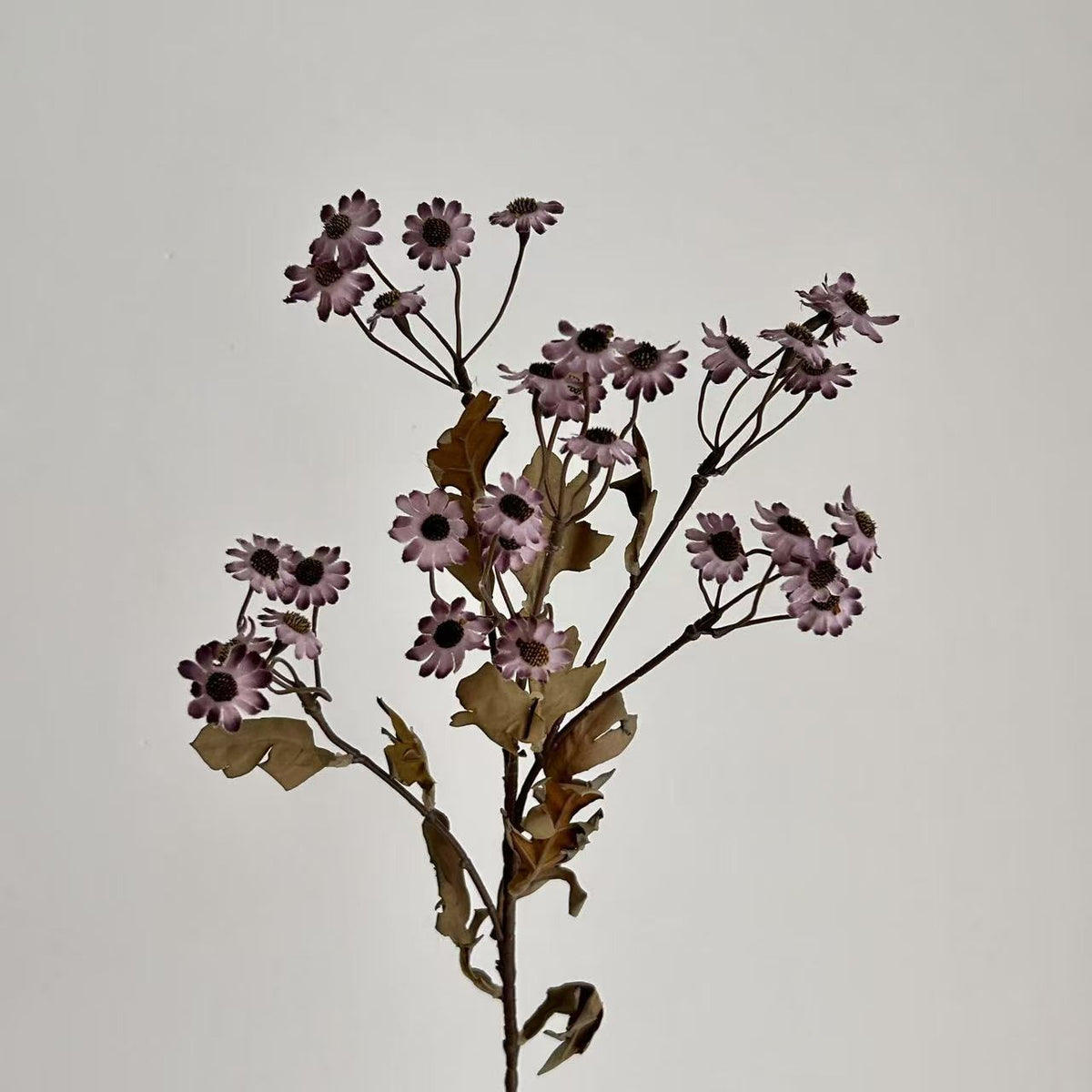 Decorative Dried Flowers | High & Bury