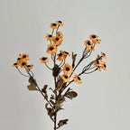 Decorative Dried Flowers | High & Bury
