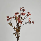 Decorative Dried Flowers | High & Bury