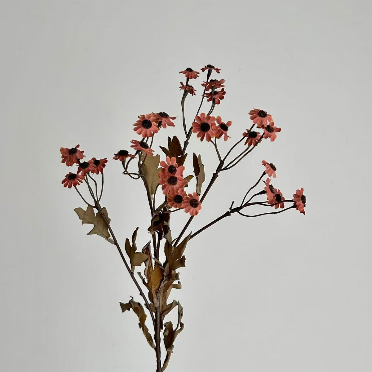 Decorative Dried Flowers | High & Bury