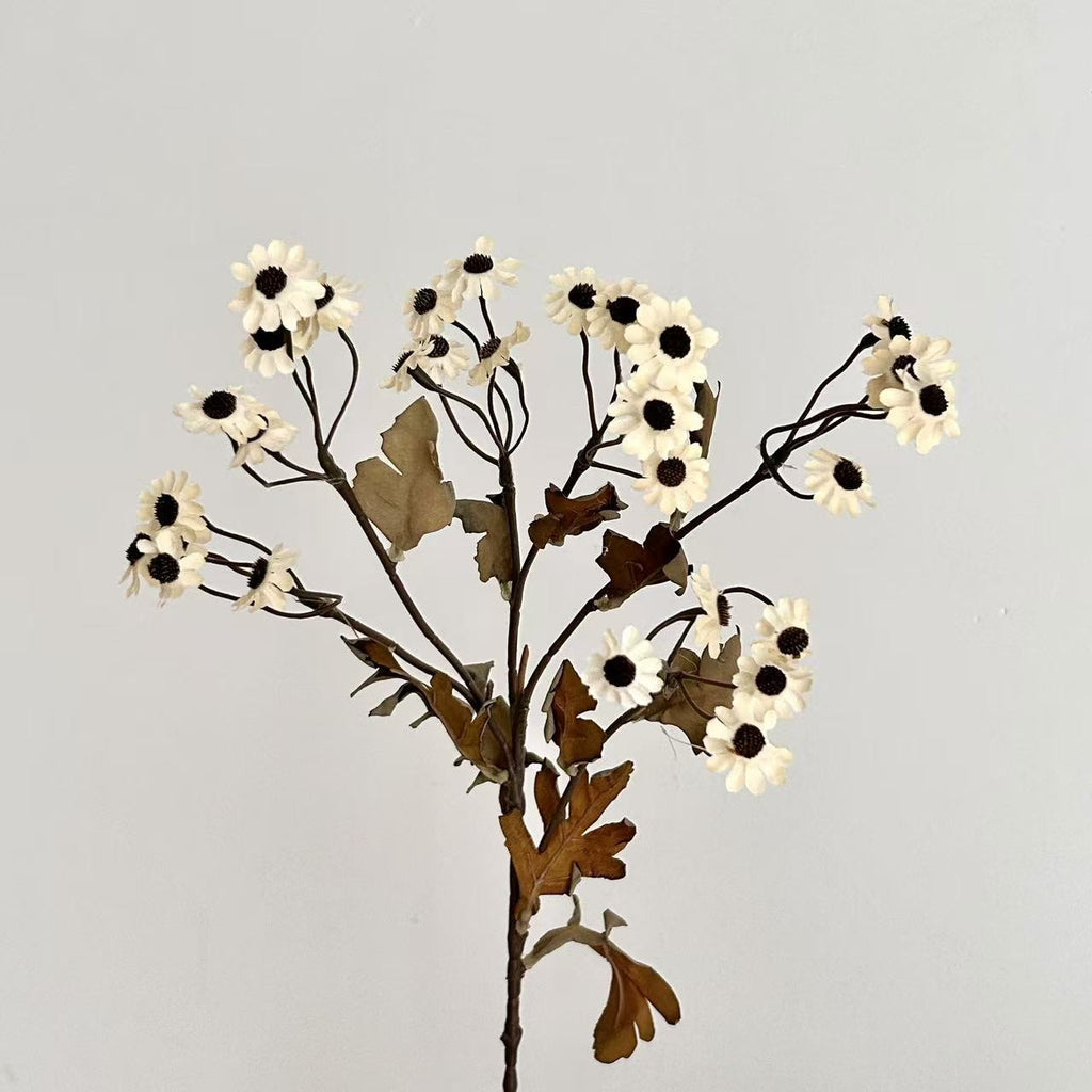 Decorative Dried Flowers | High & Bury
