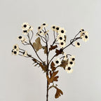 Decorative Dried Flowers | High & Bury