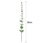Decorative Eucalyptus Branch | High & Bury