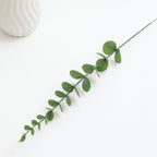 Decorative Eucalyptus Branch | High & Bury