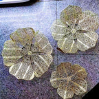 Decorative Floral Wall Art Sculpture | High & Bury