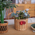 Decorative Handmade Woven Flower Pot | High & Bury