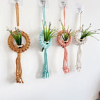 Decorative Macrame Wall Hangings | High & Bury