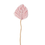 Decorative Natural Dried Leaf Wall Art | High & Bury