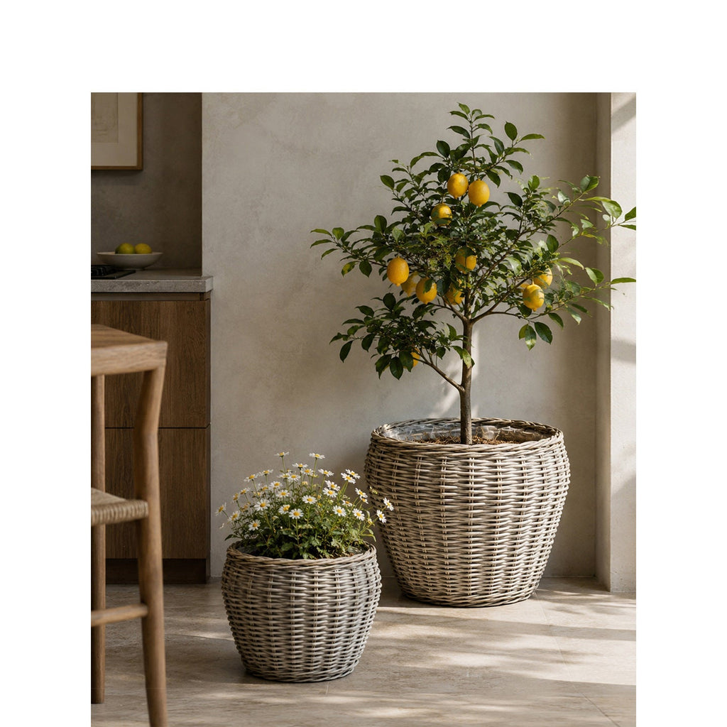 Decorative Plant Basket with Plastic Inner Bag | High & Bury