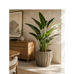 Decorative Plant Basket with Plastic Inner Bag | High & Bury