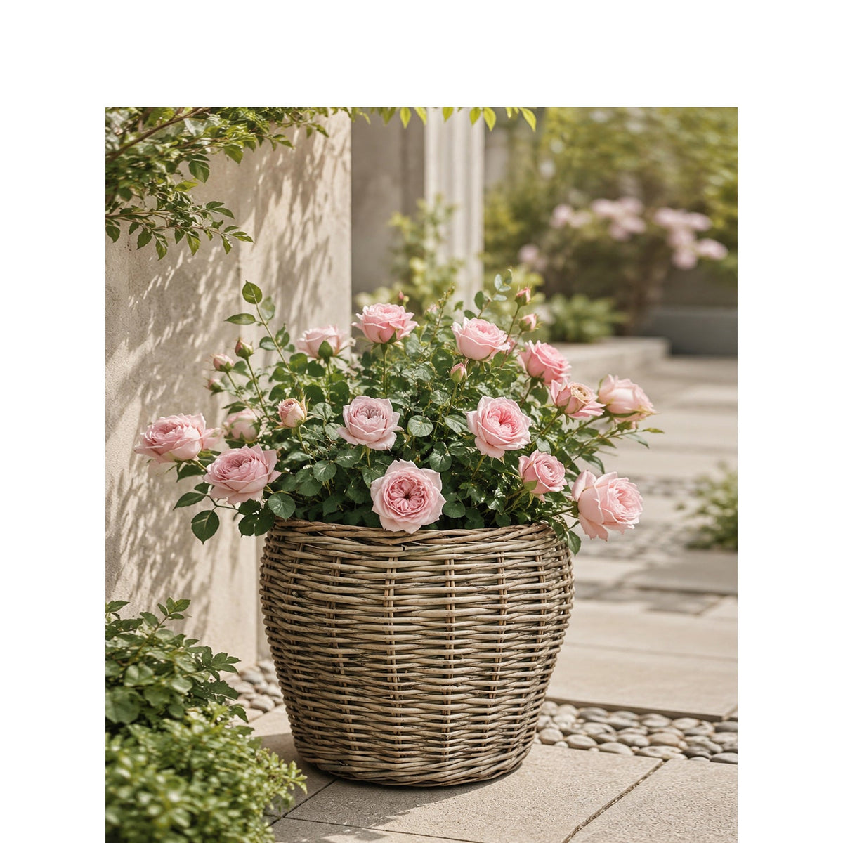 Decorative Plant Basket with Plastic Inner Bag | High & Bury