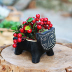 Decorative Plant Bowl | High & Bury