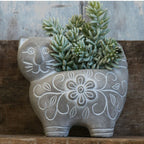 Decorative Plant Brown Black | High & Bury