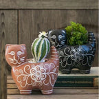 Decorative Plant Brown Black | High & Bury