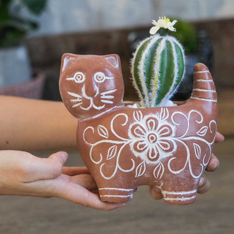 Decorative Plant Brown Black | High & Bury