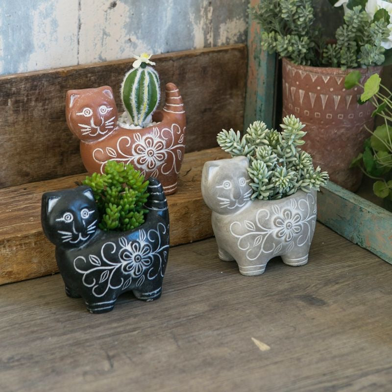 Decorative Plant Brown Black | High & Bury