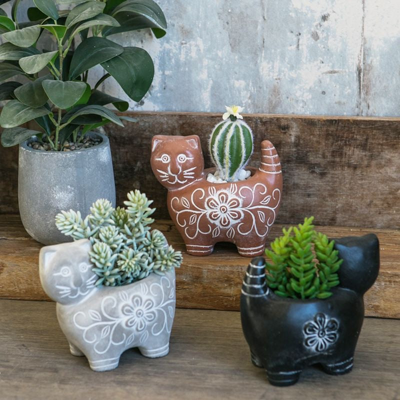 Decorative Plant Brown Black | High & Bury