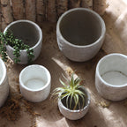 Decorative Plant Container made of Handmade Ceramic with Leaf Pattern | High & Bury