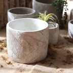 Decorative Plant Container made of Handmade Ceramic with Leaf Pattern | High & Bury