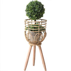 Decorative Plant Container Woven Natural Fiber Soft Textile | High & Bury