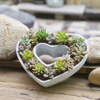 Decorative Plant Pot Light Grey | High & Bury