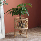 Decorative Plant Table | High & Bury
