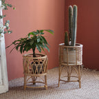 Decorative Plant Table | High & Bury