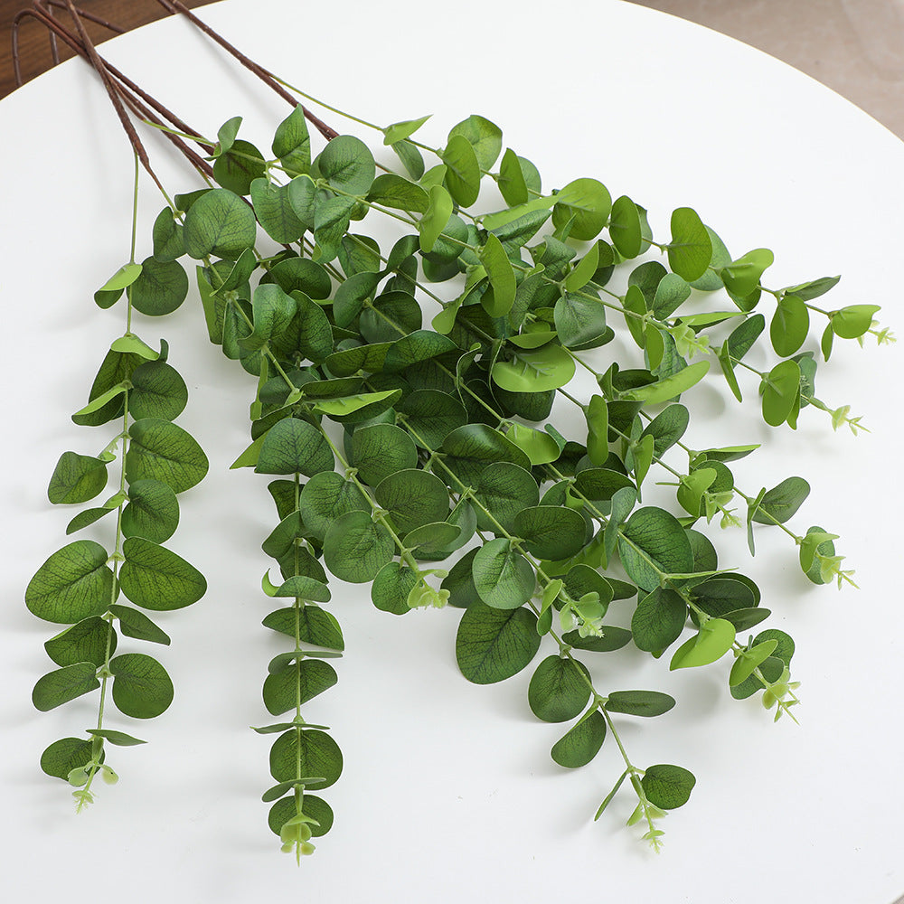 Decorative Plants Dark Green | High & Bury