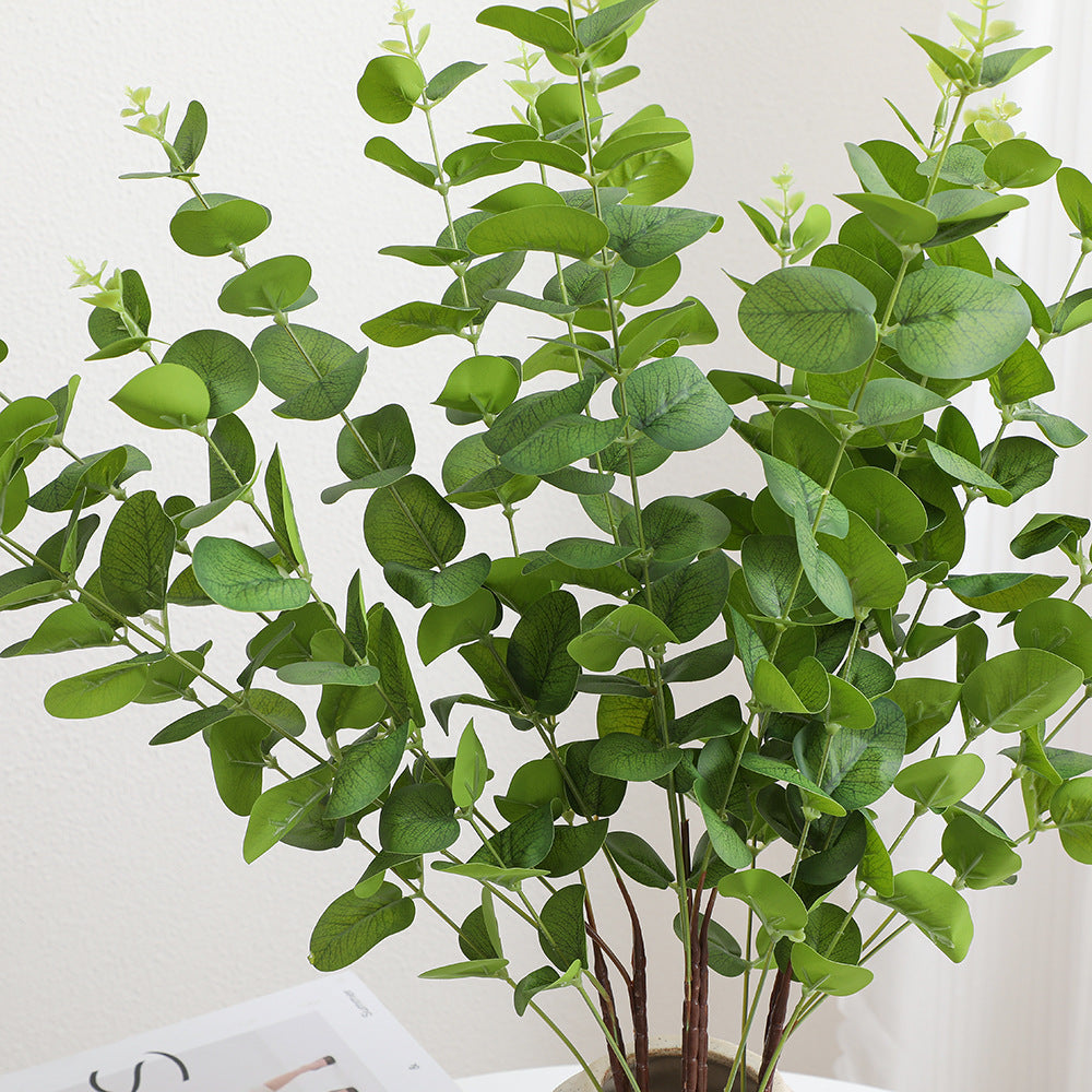 Decorative Plants Dark Green | High & Bury