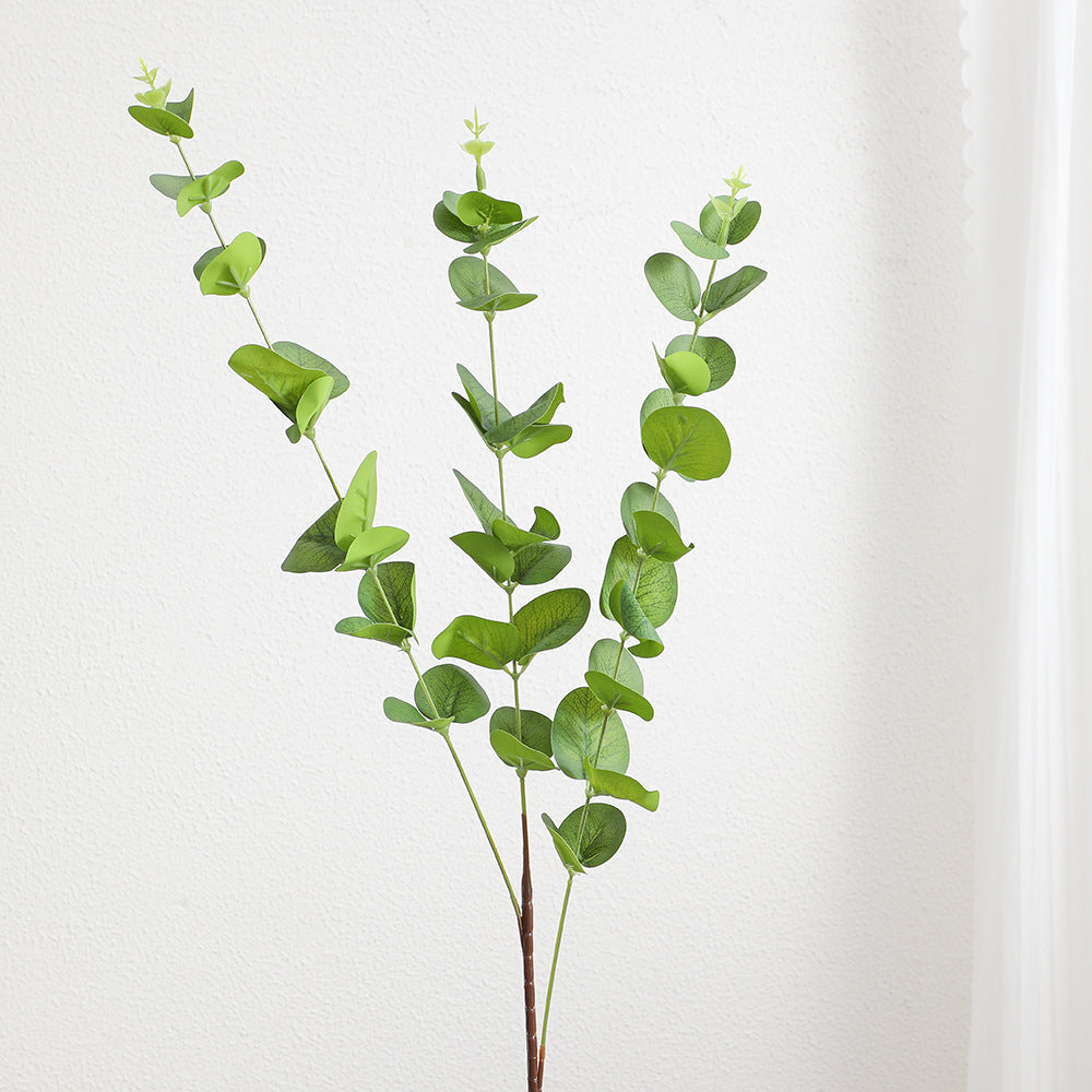 Decorative Plants Dark Green | High & Bury