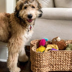 Decorative Storage Basket in Bone Design | High & Bury