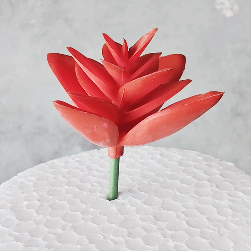 Decorative Succulent Stones | High & Bury