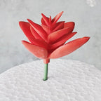 Decorative Succulent Stones | High & Bury