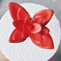 Decorative Succulent Stones | High & Bury