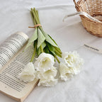 Elegant Art Tulip | High & Bury