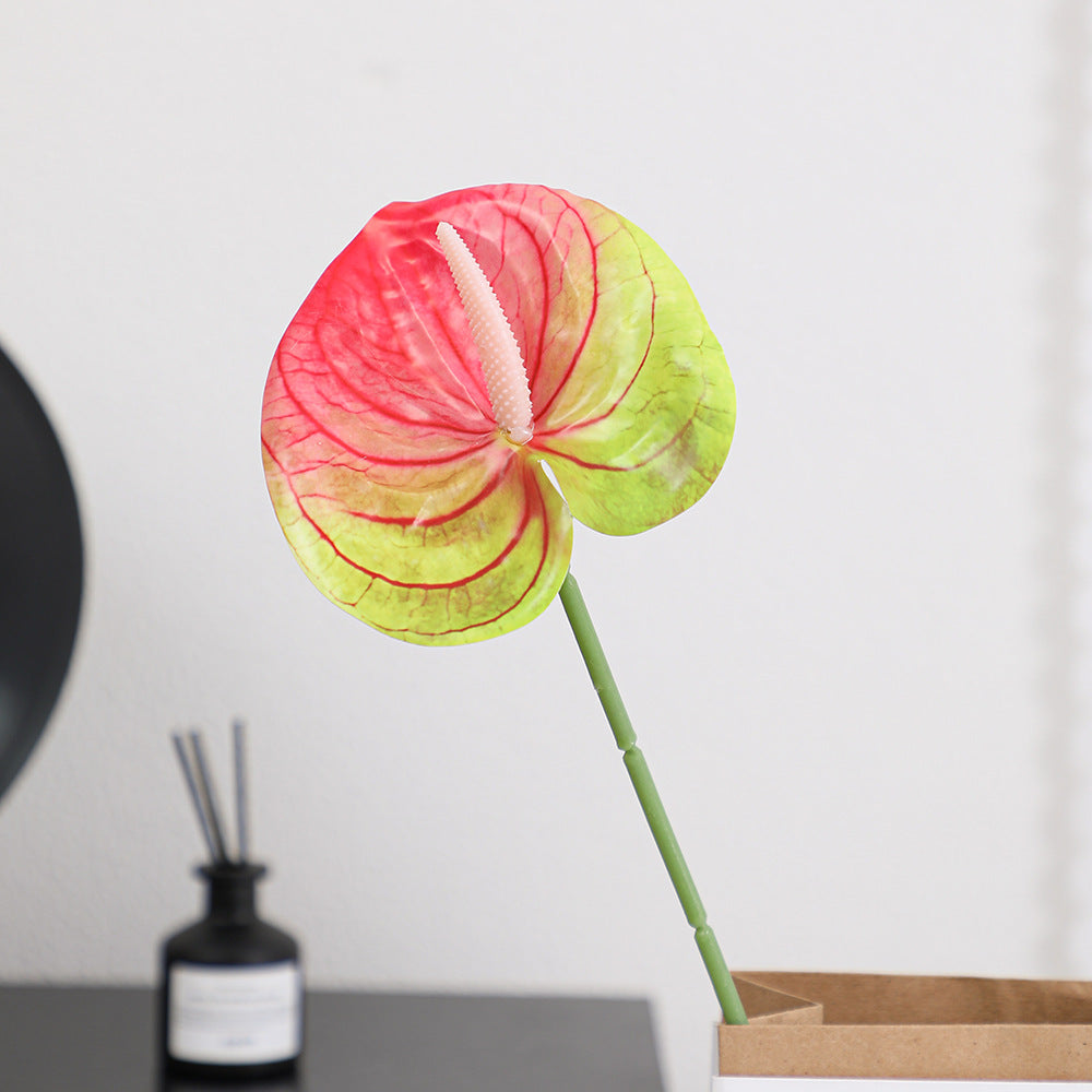 Elegant Artificial Orchid with Delicate Flowers | High & Bury