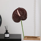 Elegant Artificial Orchid with Delicate Flowers | High & Bury