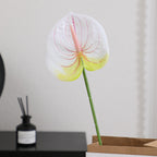 Elegant Artificial Orchid with Delicate Flowers | High & Bury