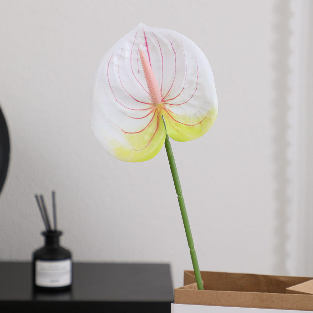 Elegant Artificial Orchid with Delicate Flowers | High & Bury