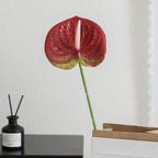 Elegant Artificial Orchid with Delicate Flowers | High & Bury