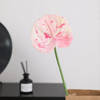 Elegant Artificial Orchid with Delicate Flowers | High & Bury