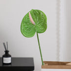 Elegant Artificial Orchid with Delicate Flowers | High & Bury
