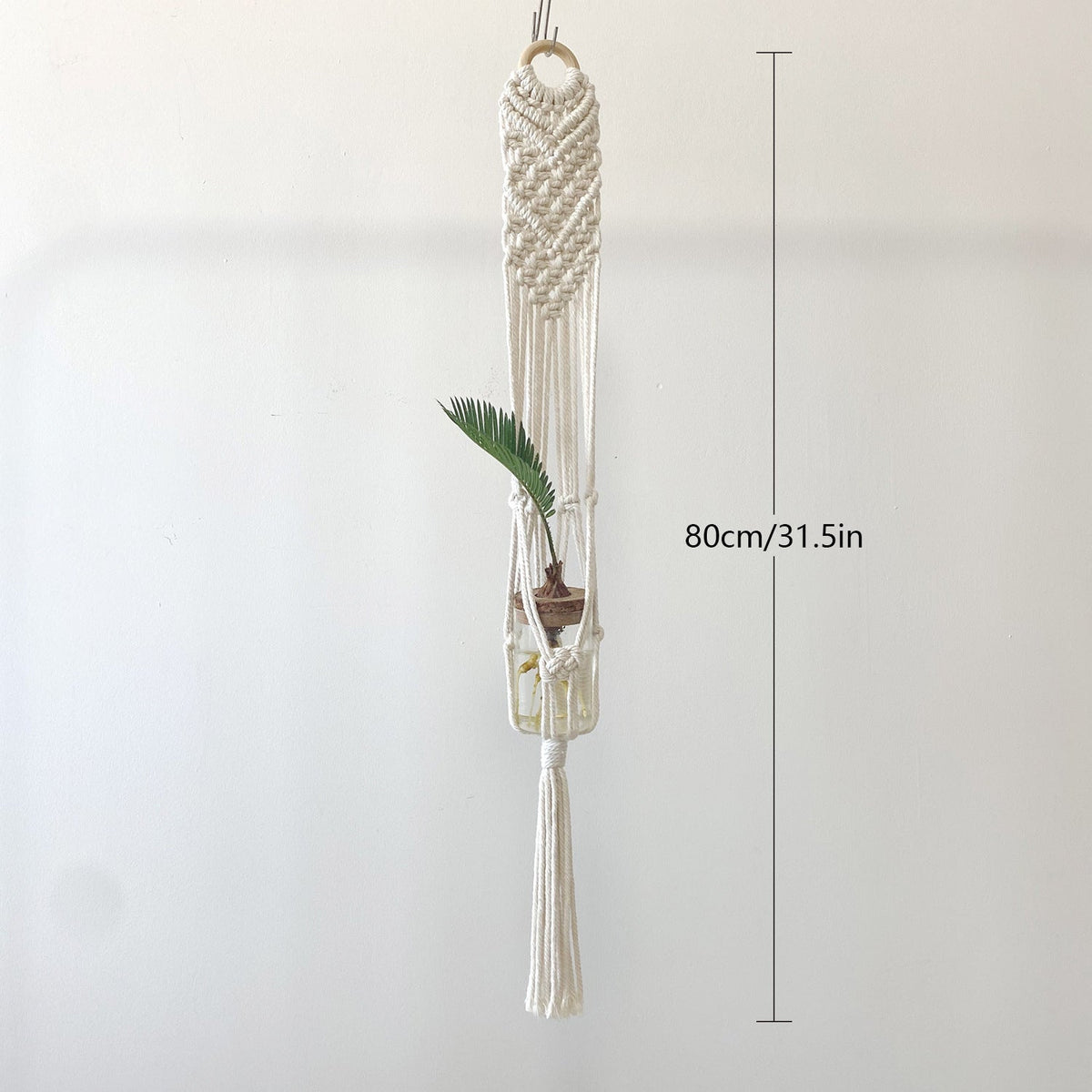 Elegant Macrame Plant Hanger | High & Bury