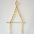 Elegant Macrame Plant Hanger Yellow Gray | High & Bury