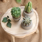 Elegant Wood Side Table | High & Bury
