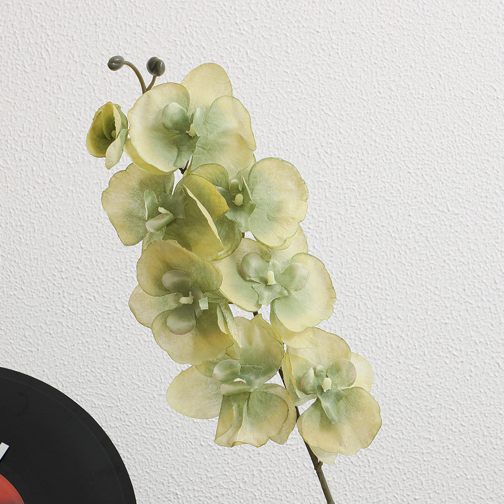 Elegante Artificial Orchid Bouquet | High & Bury