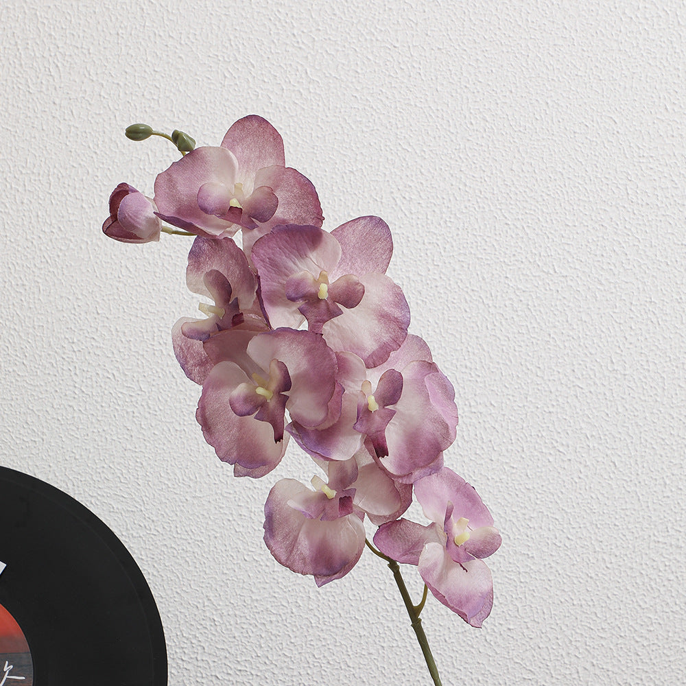 Elegante Artificial Orchid Bouquet | High & Bury