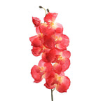 Elegante Artificial Orchid Bouquet | High & Bury